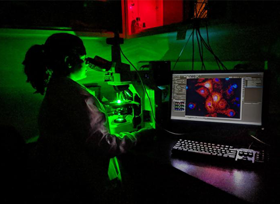 Dr. Amrita Salvi looks onto mouse derived fallopian tube cells exposed to BPA through a fluorescence microscope