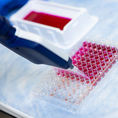 closeup of pipettes in the Burdette Lab