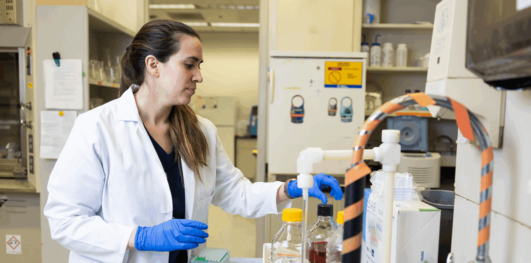 Working in the Burdette Lab