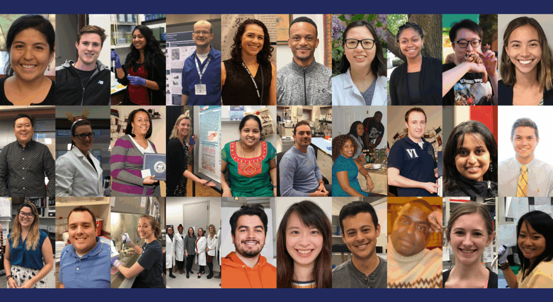 A collage of faces representing the many alumni of the Burdette Lab