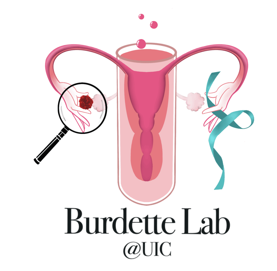 Dr. Amrita Salvi looks onto mouse derived fallopian tube cells in a fluorescence microscope